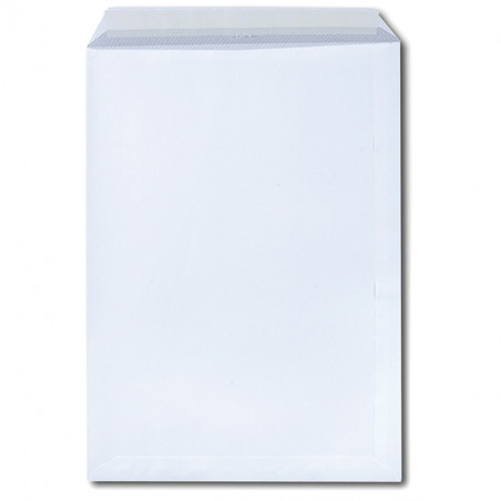 BOLSA ENVIO PAPEL 184X261 250 UND