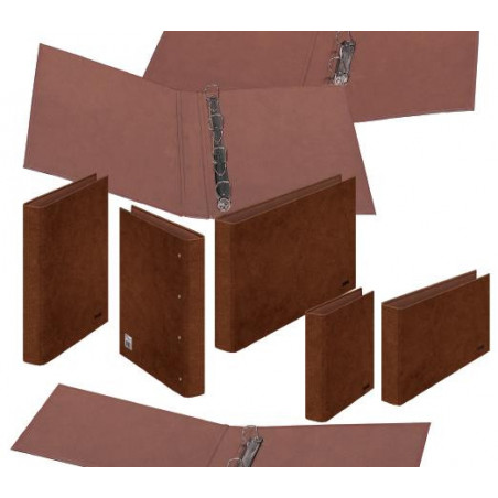 CARPETA 2 ANILLAS CUARTO