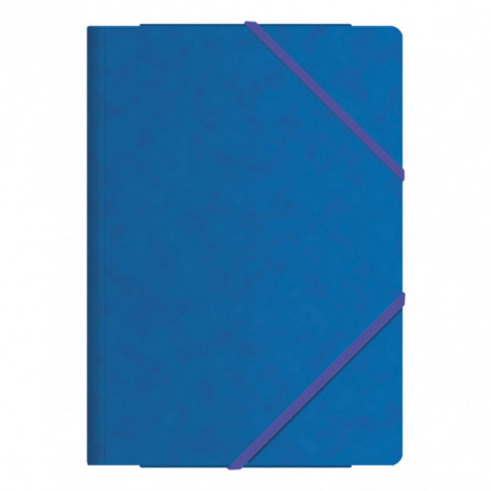 CARPETA CARTON PLASTIF C/GOMAS, Fº/DINA4